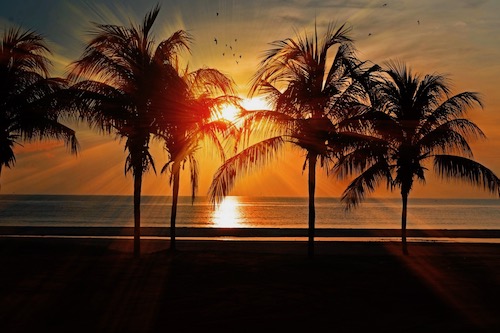 Shores of Panama Area Image #3